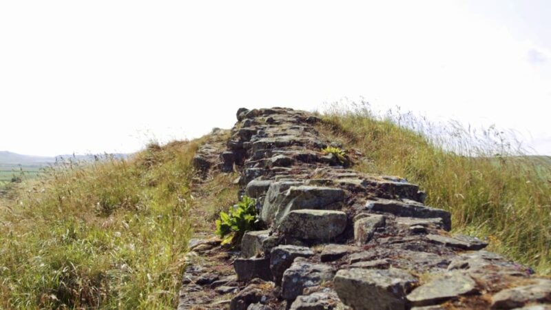 Edinburgh: Rosslyn Chapel and Hadrian's Wall Tour in Spanish - Customer Feedback