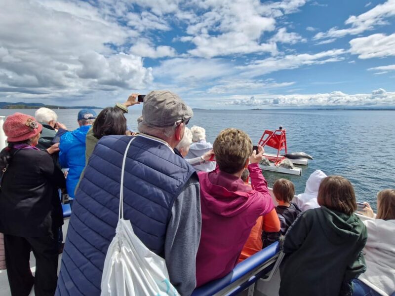 Edinburgh: Sightseeing Bus Tour & Inchcolm Island Boat Tour - Forth River Boat Cruise