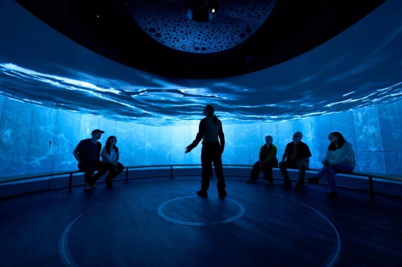 Edinburgh: The Scotch Whisky Experience Tour and Tasting - Tour Options and Inclusions