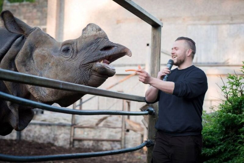 Edinburgh Zoo Entrance Ticket - Zoo Highlights and Experiences