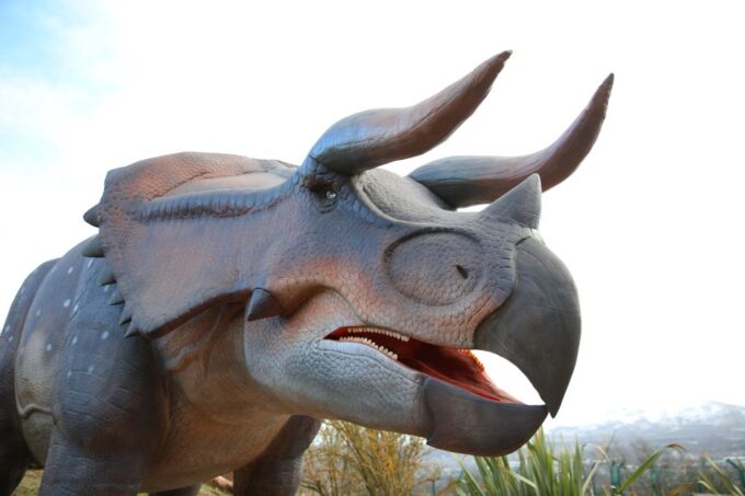 Edinburgh Zoo Entrance Ticket - Planning Your Visit