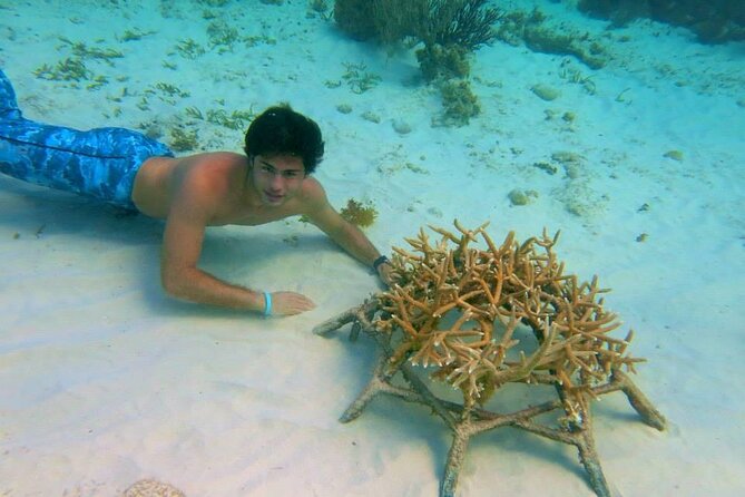 Educational Coral Gardening Snorkeling Adventure - Meeting and Pickup Details
