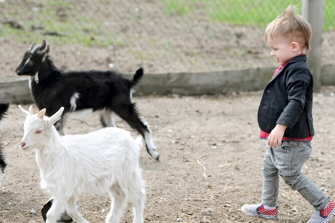 Educational Farm Adventure Tour on Bainbridge Island - What to Expect During Your Visit
