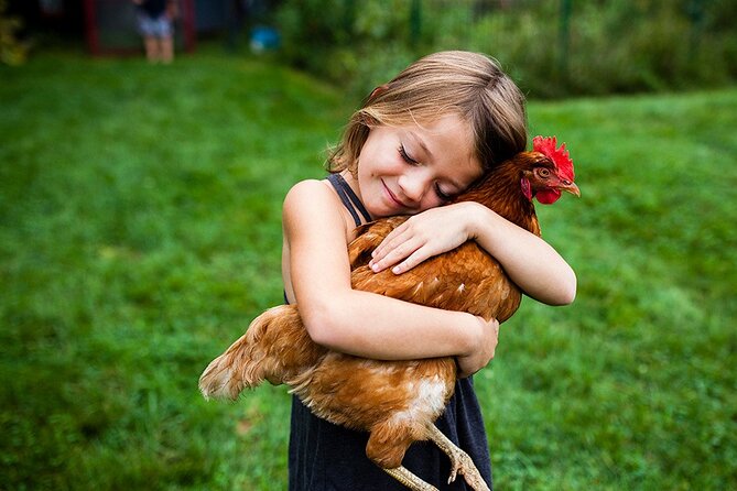 Educational Farm Adventure Tour on Bainbridge Island - Pricing and Booking Details