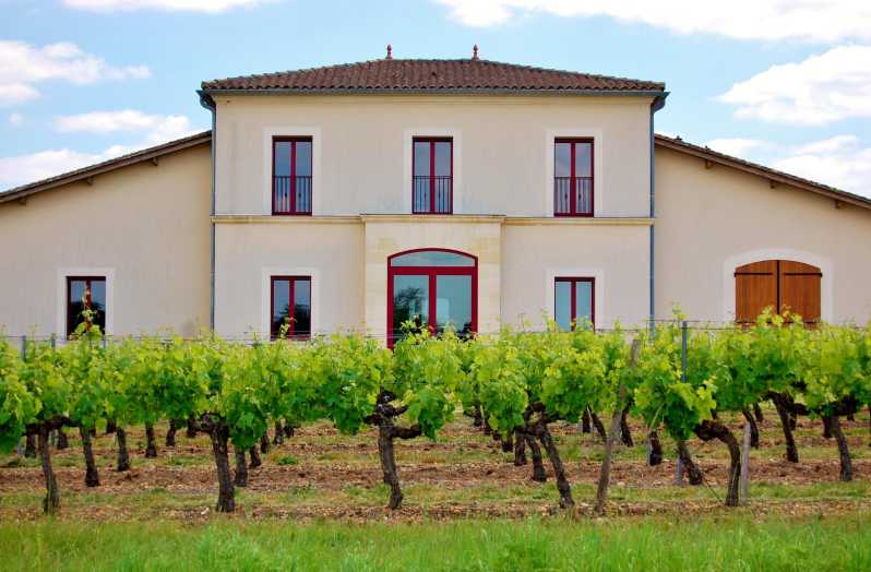 Educational Hiking in Bordeaux Vineyard - Key Points