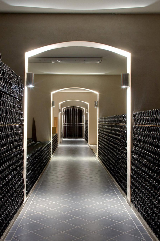 Educational Hiking in Bordeaux Vineyard - Tour Details