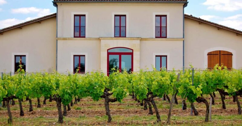 Educational Hiking in Bordeaux Vineyard - Wine Tasting Experience