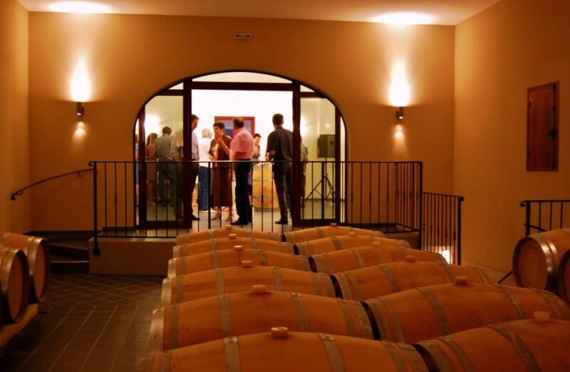 Educational Hiking in Bordeaux Vineyard - Participant Information