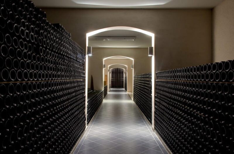 Educational Hiking in Bordeaux Vineyard - Preparation and Guidelines