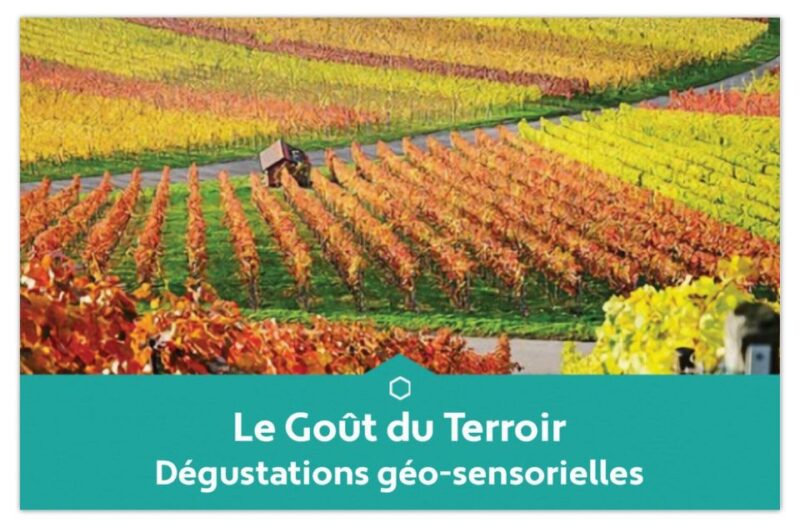 Educational Tasting of 3 Champagnes From Winegrowers - Exploring Champagne Appellations