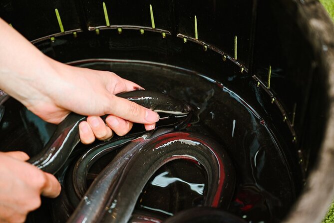 Eel Fishing and Cooking Experience in Kyoto - Accessibility and Policies