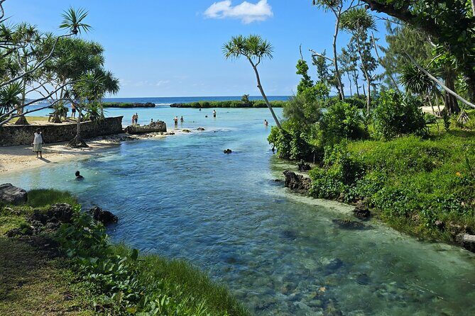 Efate Half Day Trip, Eton Beach, Blue Lagoon and Lunch at Turtle - Exploring Efate’s Natural Wonders: A Detailed Look at the Half-Day Trip