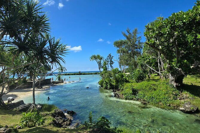 Efate Half Day Trip, Eton Beach, Blue Lagoon and Lunch at Turtle - Analyzing the Value and Practical Aspects