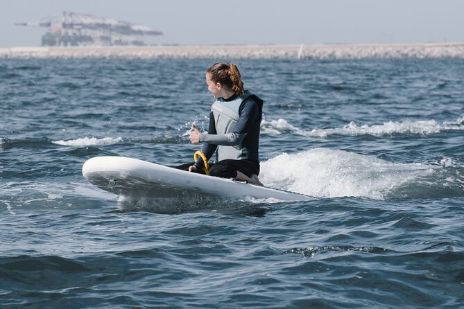 Efoil Fliteboard Experience Barcelona - Taking in the Barcelona Waterfront