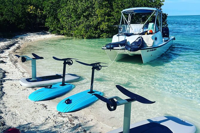 Efoil Lessons With Efoil the Keys in Key West - Booking and Availability