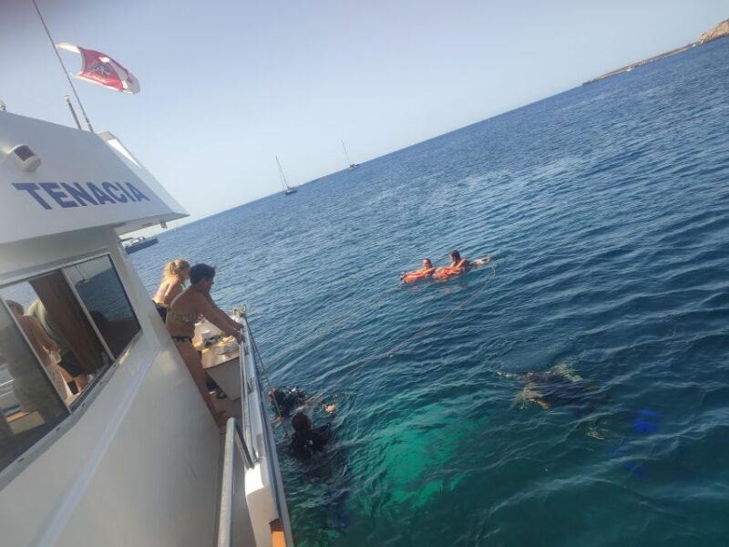 Egadi Islands: Day Sea Cruise With Tasting Local Food - Key Points