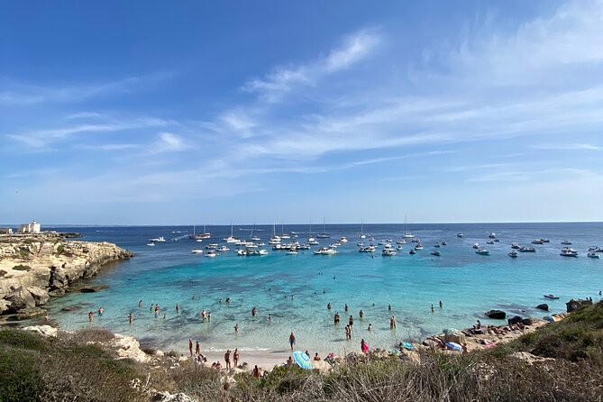 Egadi Shuttle Tour to Favignana and Levanzo From Trapani - Traveler Photos and Experiences