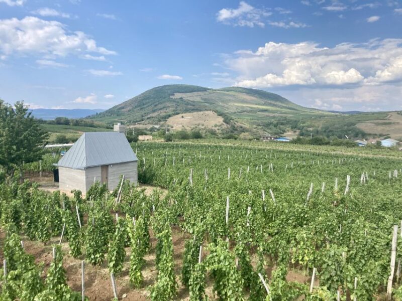 Eger: Countryside, Culture, and Wine Private Tour - Key Points