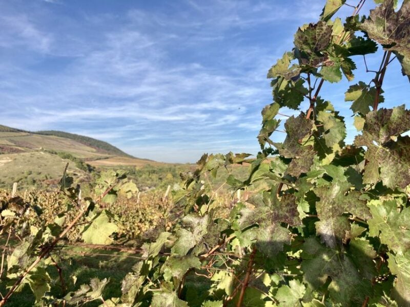 Eger: Countryside, Culture, and Wine Private Tour - Inclusions