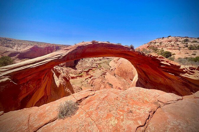 Eggshell Arch Day Tour - FAQ