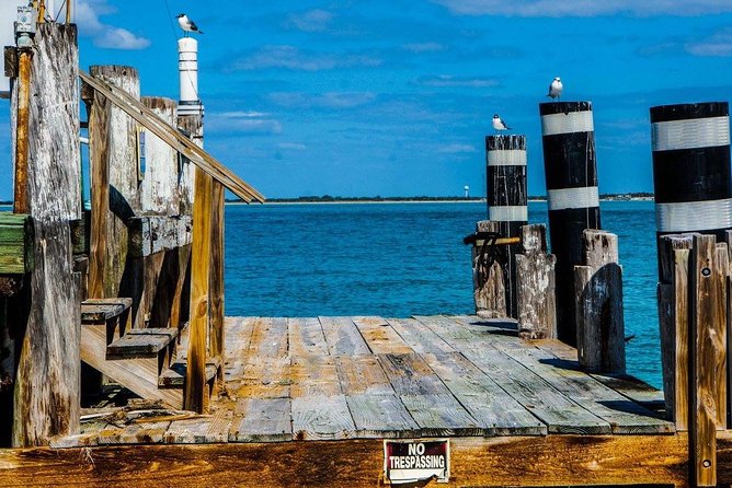 Egmont Key Snorkeling Dolphin Tour - Reviews