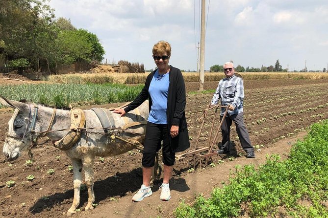 Egypt Countryside Trip - Customer Reviews and Ratings