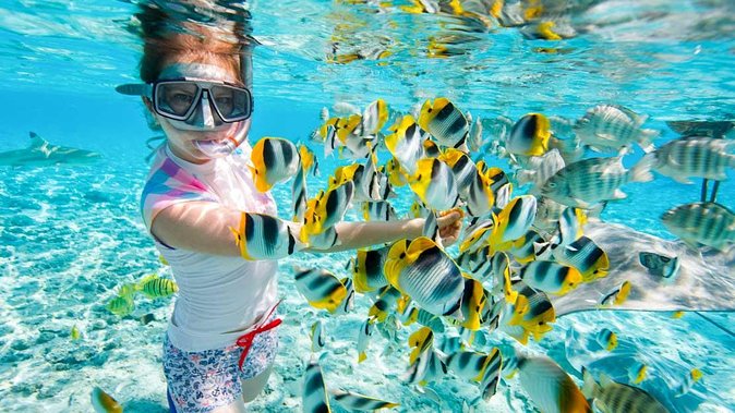 Egypt Family Holiday - Fun & Discovery - Pricing and Packages