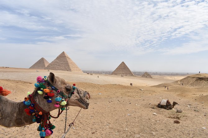 Egypt Tours Package for 6 Days - Pickup and Drop-off