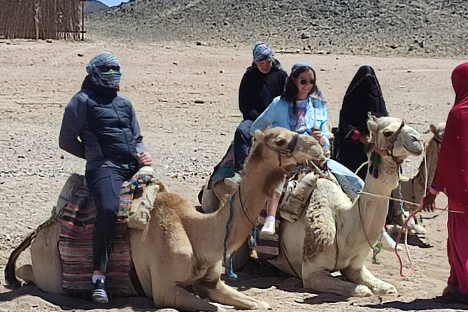 Egyptian Desert Quad Bike VIP - Pickup Details