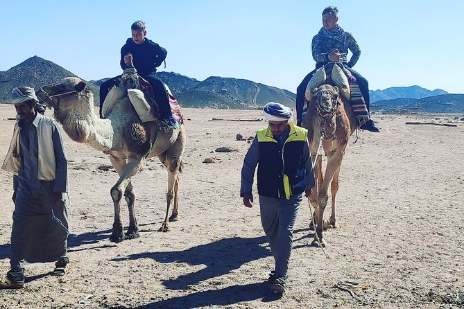 Egyptian Desert Quad Bike VIP - Booking and Cancellation