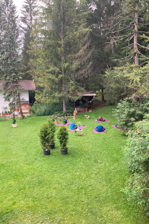 Ehrwald: Mountain Yoga Class - Class Details