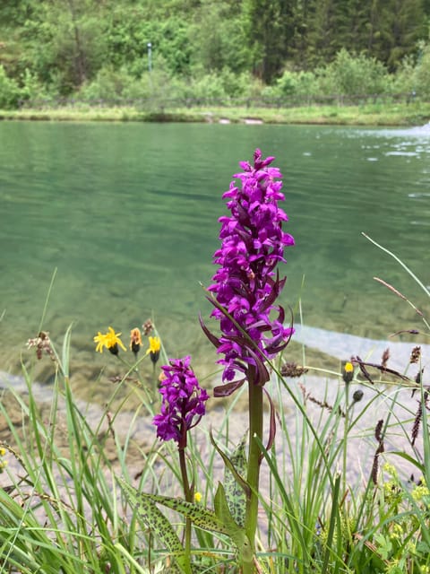 Ehrwald: Trail Running Tour - Meet the Tour Guide