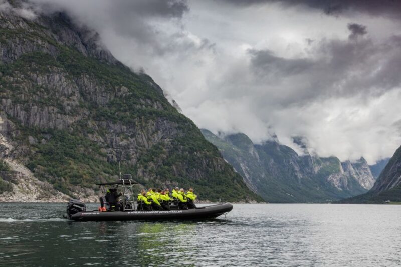 Eidfjord: 1-Hour Fjord RIB Tour - Tour Features