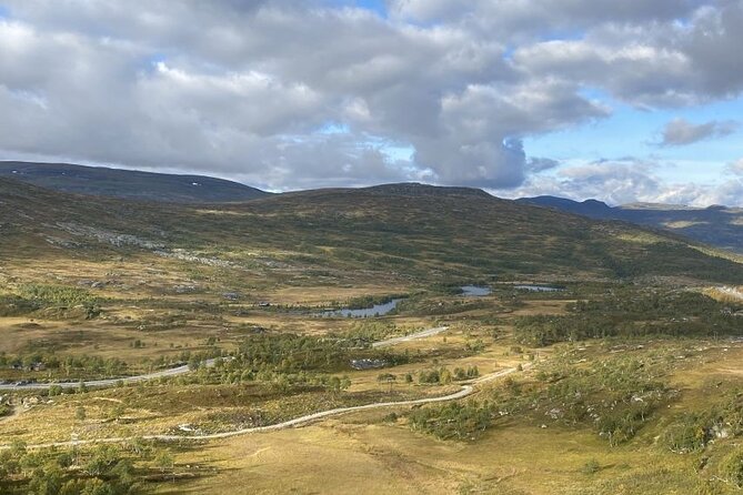 Eidfjord Guided Tour Vøringfossen Waterfall & National Park - Guide Expertise and Engagement