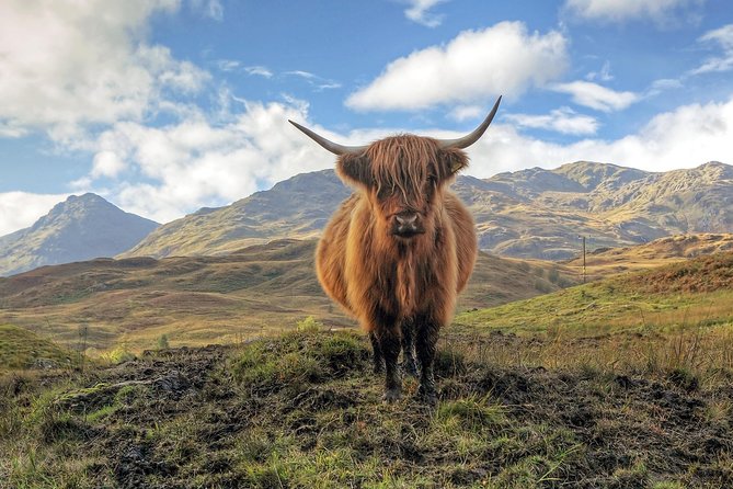 Eilean Donan, Loch Ness & Glenfinnan - 2 Day Tour From Edinburgh - Round-trip Transportation