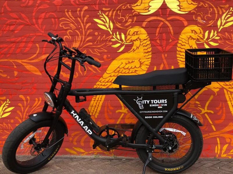 Eindhoven: E-Fatbike Tour the Footsteps of Vincent Van Gogh - Children Policy
