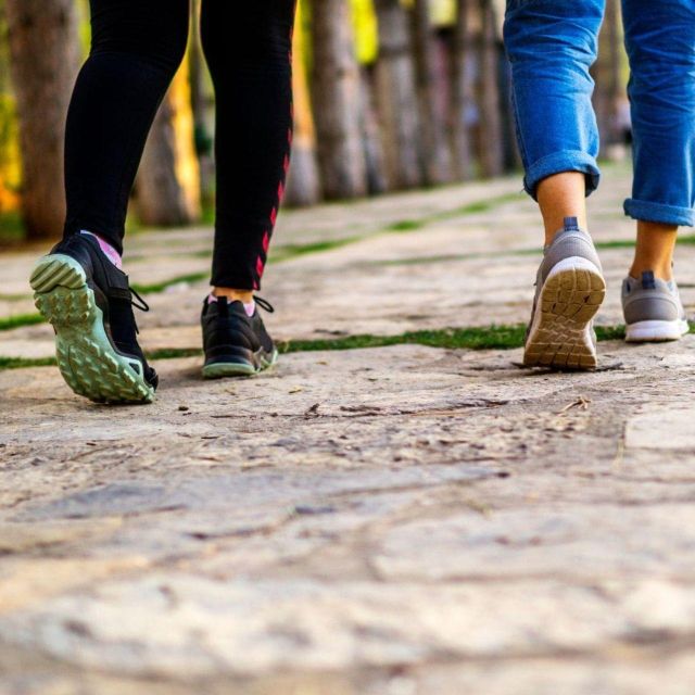 Eindhoven: Self Guided City Walking Tour - Included Amenities