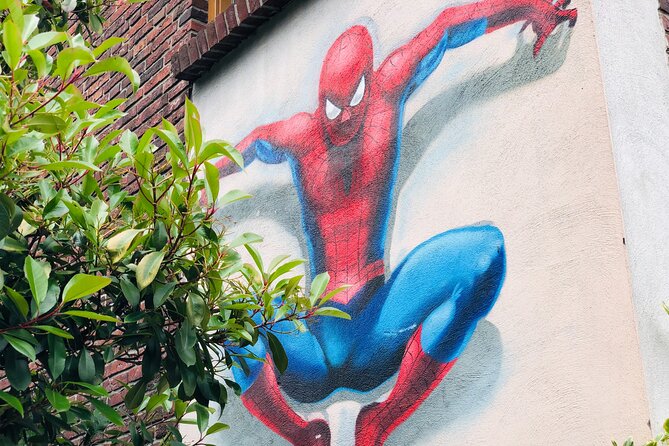 Eindhoven: Self Guided Individual Street Art Tour - Recap