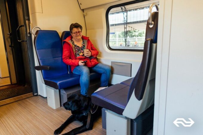 Eindhoven: Train Transfer Eindhoven From/To Rotterdam - Frequently Asked Questions