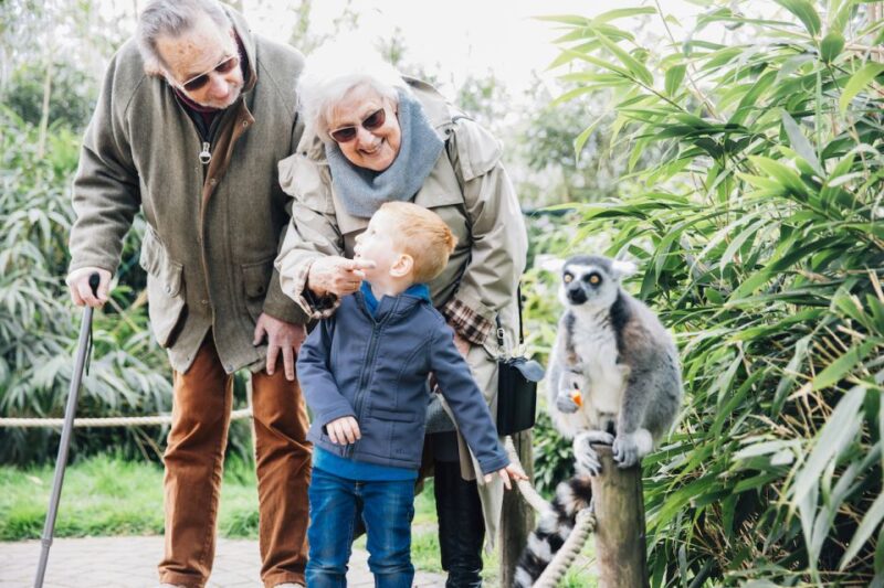 Eindhoven Zoo Entry Ticket - Visitor Entry