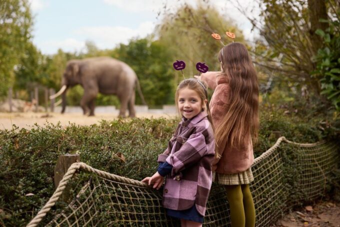 Eindhoven Zoo Entry Ticket - Cancellation Policy