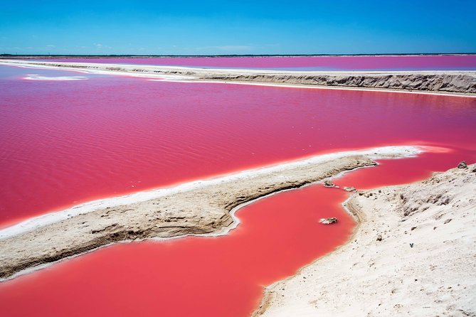 Ek Balam, Rio Lagartos and Las Coloradas Private Tour From Cancun - Inclusions and Amenities