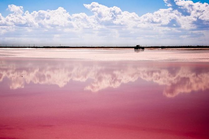 Ek Balam, Rio Lagartos and Las Coloradas Private Tour From Cancun - Itinerary and Schedule