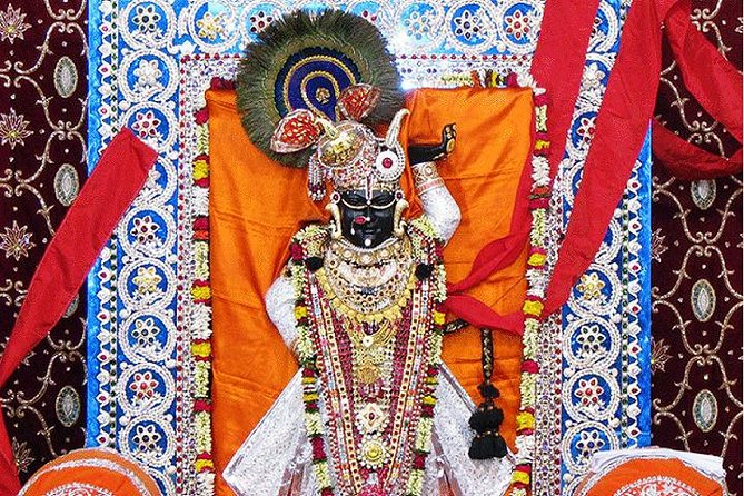 Ekling Ji and Nagda (Sahasrabahu Temple) Day Trip - Exclusions
