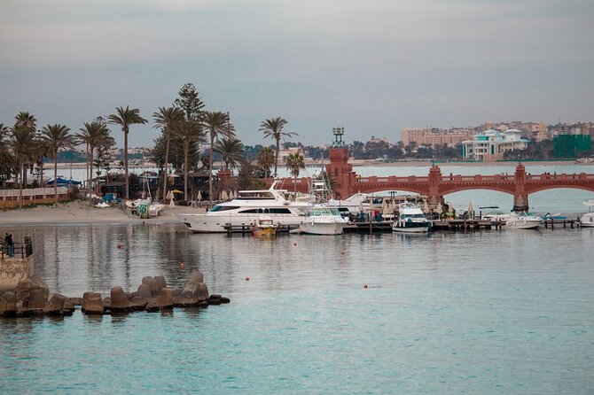El Alamein Day Trip From Alexandria Port - Recap