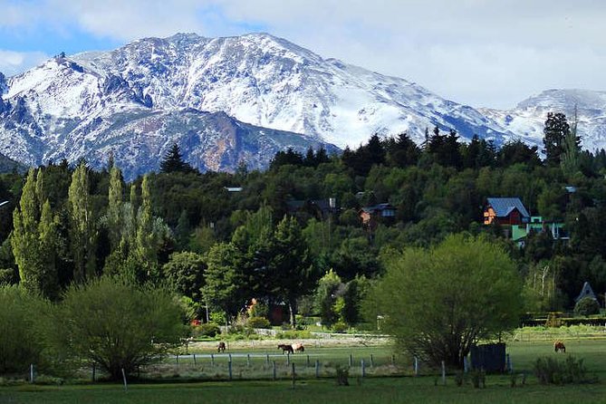 El Bolson & Bariloche - Reviews and Feedback