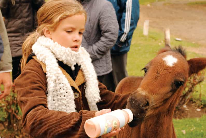 El Calafate: 25 De Mayo Farm Tour With Dinner & Transfer - Experience Highlights