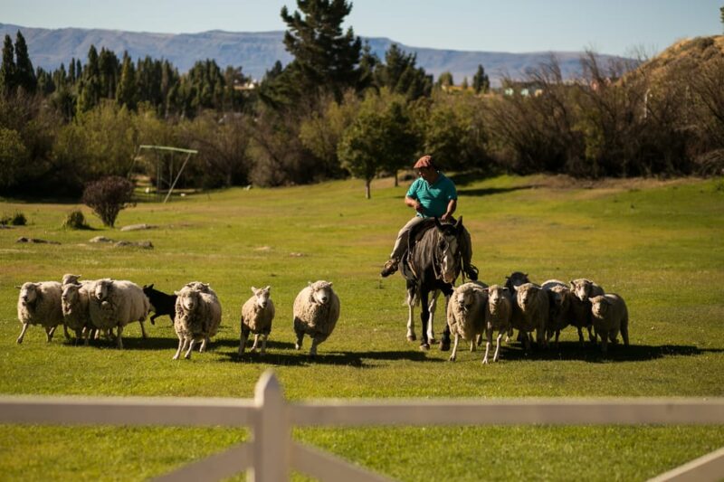 El Calafate: 25 De Mayo Farm Tour With Dinner & Transfer - Inclusions and Exclusions