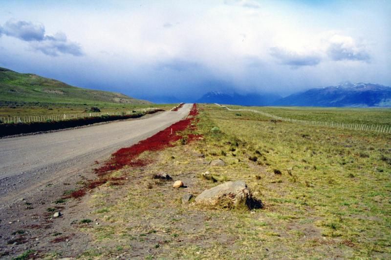 El Calafate City Tour and Walichu Caves - Itinerary Highlights