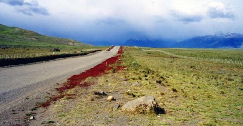 El Calafate City Tour and Walichu Caves - Customer Reviews